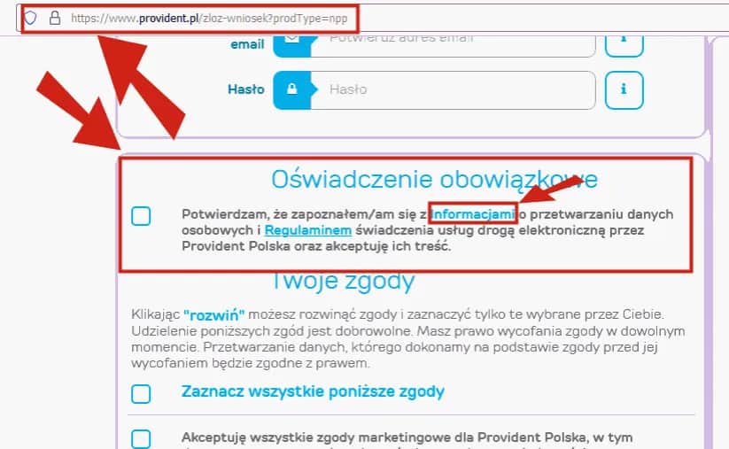 Provident sprawdza BIK? Dowiedz się, jakie masz szanse